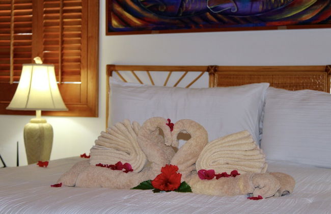 Tara Del Sol - Photo 14