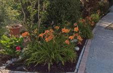 Villa Fiorenza - Savana - Nature & Terroir - Foto 25