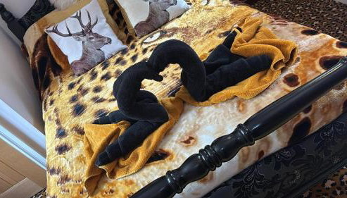 Willow's Cottage - Foto 4