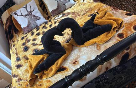 No6 High Street - Foto 5