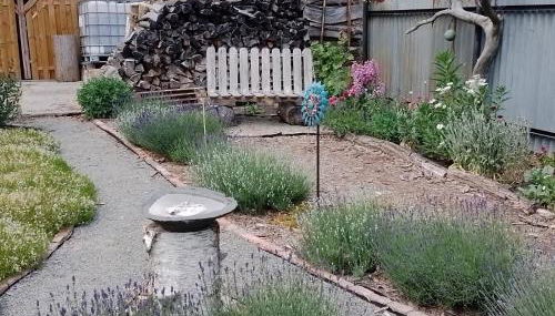 Uckermark "Ferienwohnung Sommerfugl " - Foto 5