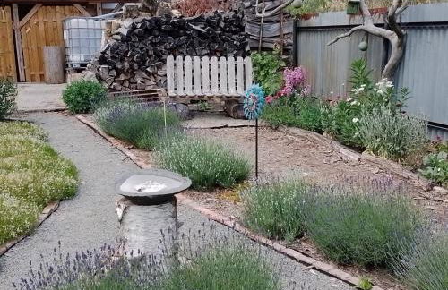 Uckermark "Ferienwohnung Sommerfugl " - Photo 5