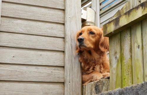 No32 Carmarthen Road - Photo 19