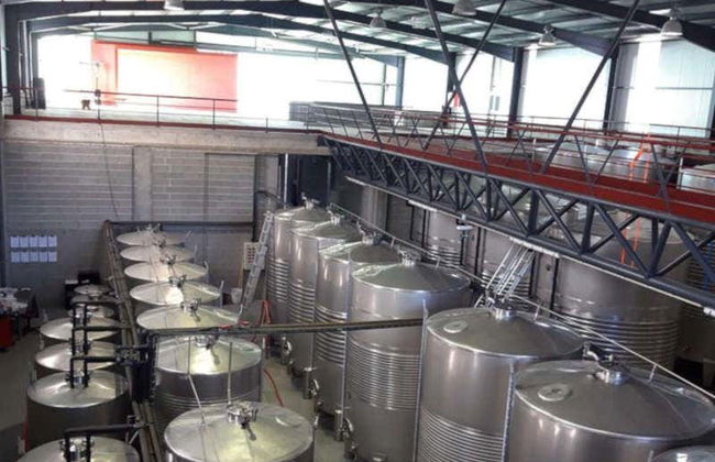 Dégustation de vin à la Quinta de Santa Cristina - Photo 5