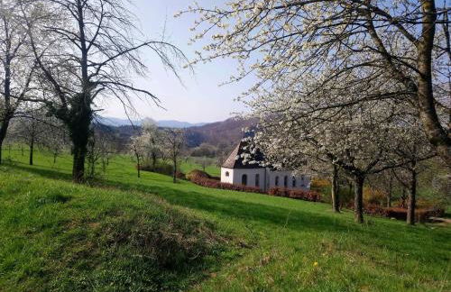 Ferienwohnung Birkental - Foto 30