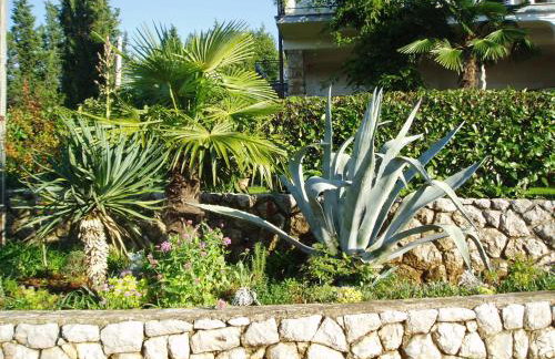 Apartments Villa Elizabet - Foto 56