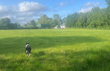 Campbell's Cottage - Foto 17