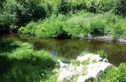 Loboratorio Rural-Cuenta hasta 3 - Foto 43