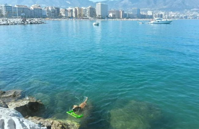 107267 - Apartment in Fuengirola - Photo 14