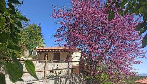 ForestRock Studio FOR SALE TOO - Foto 1