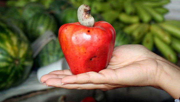 Tour di Galería Alameda e dell'artigianato di Cali - Foto 3