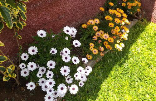 the old school - Foto 26