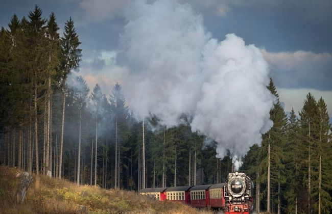 Appartementhaus Der Krauterhof in Drei Annen Hohne - Foto 32