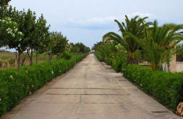 Residence Bandiera Gialla - Foto 13