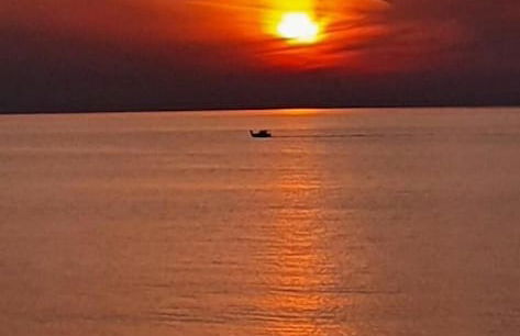 Sun Camero Apartments - Photo 32