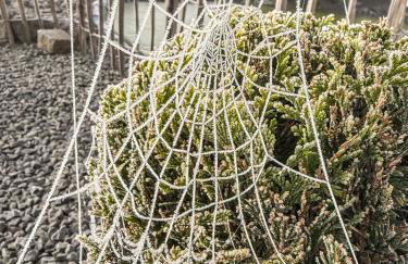 Ferienwohnung Ankerplatz - Foto 55