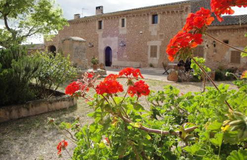 Agroturisme Son Llado - Photo 34