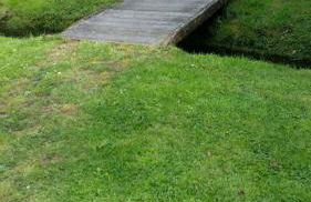 Ferienwohnung am Sandwater - Foto 9