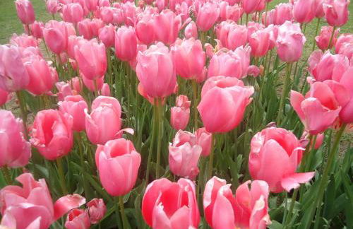 Appartamento Simona - Foto 19