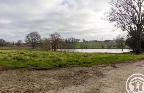 Gîte de charme avec terrasse, près de Nantes, campagne des Mauges, idéal pour familles et pêcheurs - FR-1-622-73 - Foto 17
