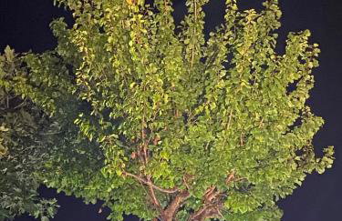 Ακτή Βολέρι panoramic view suite-parking-5g wifi - Foto 20