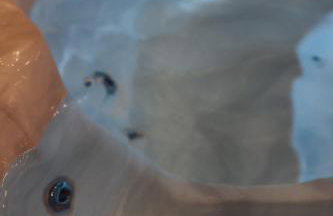 Dom to za mało! Całoroczny dom z prywatnym jacuzzi - Foto 16