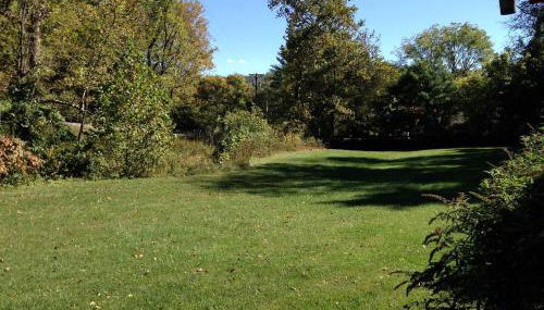 Pet-Friendly Cabin Rental for Family Getaway in Lexington, Virginia - Foto 5, Garden view