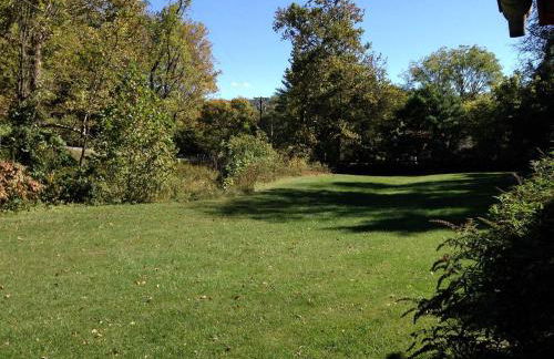 Pet-Friendly Cabin Rental for Family Getaway in Lexington, Virginia - Foto 5