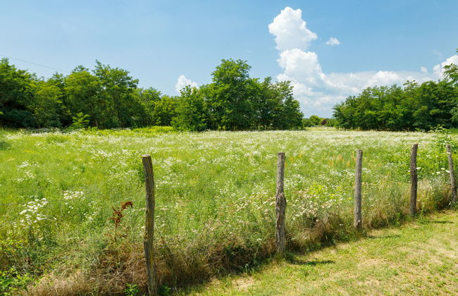 Aschbacher - Foto 43