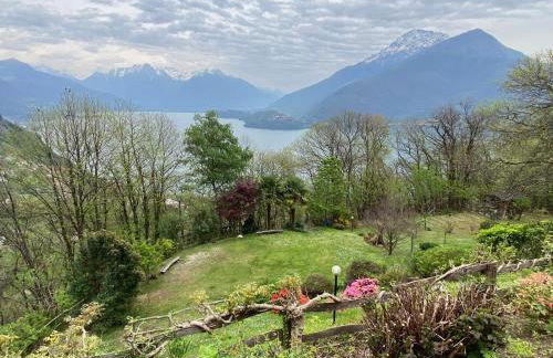 The Happy Rooster - Villa with Big Garden - Foto 28