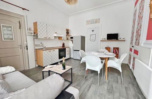 T2 en centre historique, ambiance chaleureuse - Foto 4