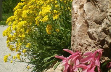 Villa Otto - Foto 26