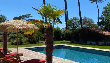 Villa Valhalla - 400m from beach, sauna and big heated pool - Foto 4, Garden, sunbed, Garden view