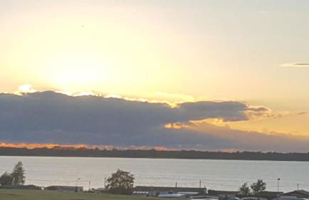 Spatzenhecke - Foto 13