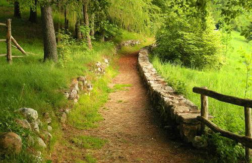 Residence Cimone SuperSci Polle-life - Foto 54