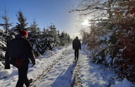 Ferienwohnung Sauerland Fernblick - Foto 29
