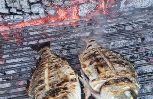 Old Fisherman's House - Apartment Sonja - Foto 62