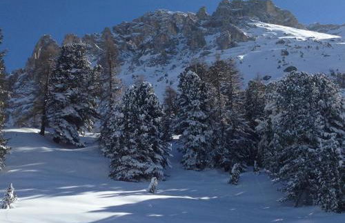 Alps Residence - Photo 18