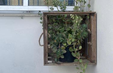 Aconchegante Kitnet na sede Aracruz 1 km do centro individual ótima logística lugar tranquilo - Foto 28