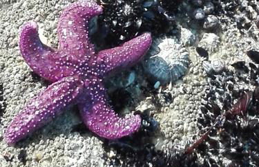 Casas do Pedro T1 - Foto 26