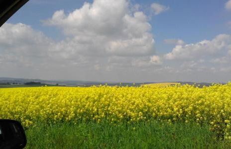 SeidelsFerienparadiesGahlenz - Foto 9