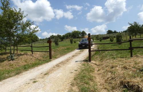 Scappo in Umbria, Le Salce - Foto 40