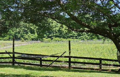 Vinewood Estate & Adventures - Foto 28