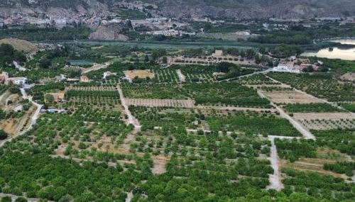 Finca el Campillo Casas Joselito y Nene Pili - Foto 5