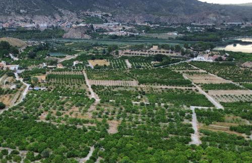 Finca el Campillo Casas Joselito y Nene Pili - Foto 5