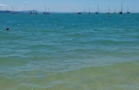 Acácia Jurerê - Foto 39