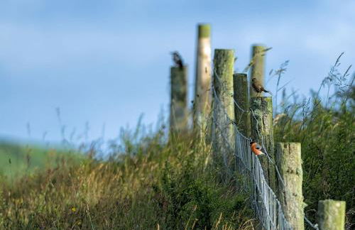 The Workshop- Eco Cottage by the Coastal Path - Photo 47