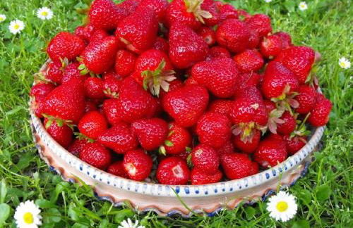 Agriturismo Frallarenza - Foto 48