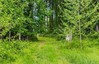 Conestoga Cottage with Hot Tub - Foto 55