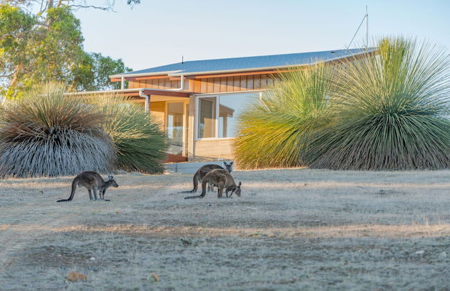 Ecopia Retreat - Foto 3